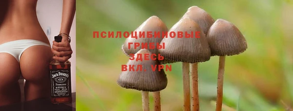 ALPHA PVP Алексин