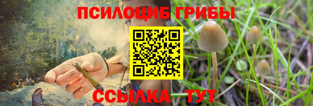 Узловая  Галлюциногенные грибы мицелий  Вход с VPN 