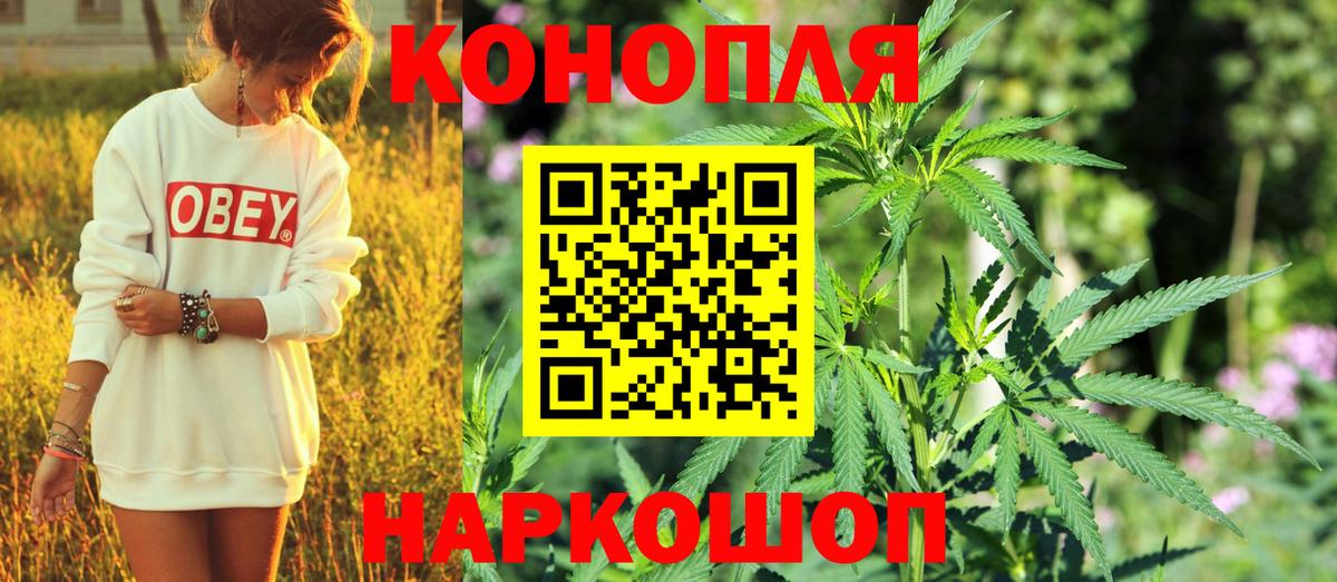 Шишки марихуана планчик  Конопля план  Канабис гибрид  Вход с VPN  Узловая 